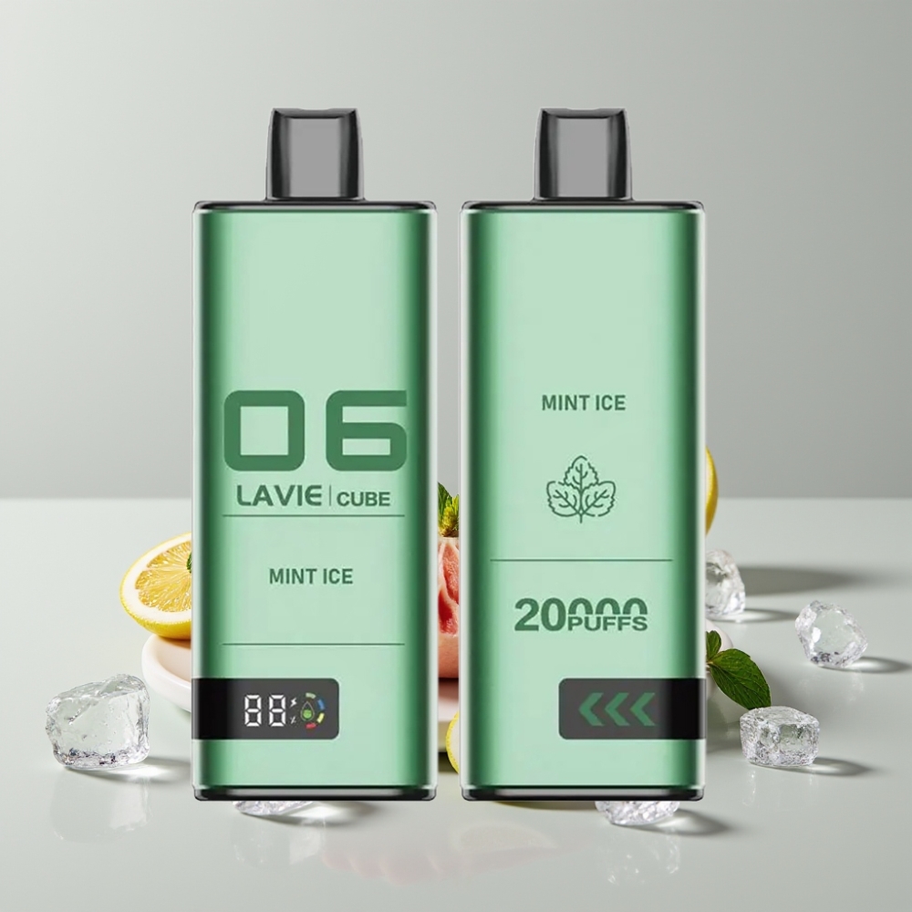 Lavie Cube 20000 Puffs Disposable Vape Mint Ice 28mL Type C